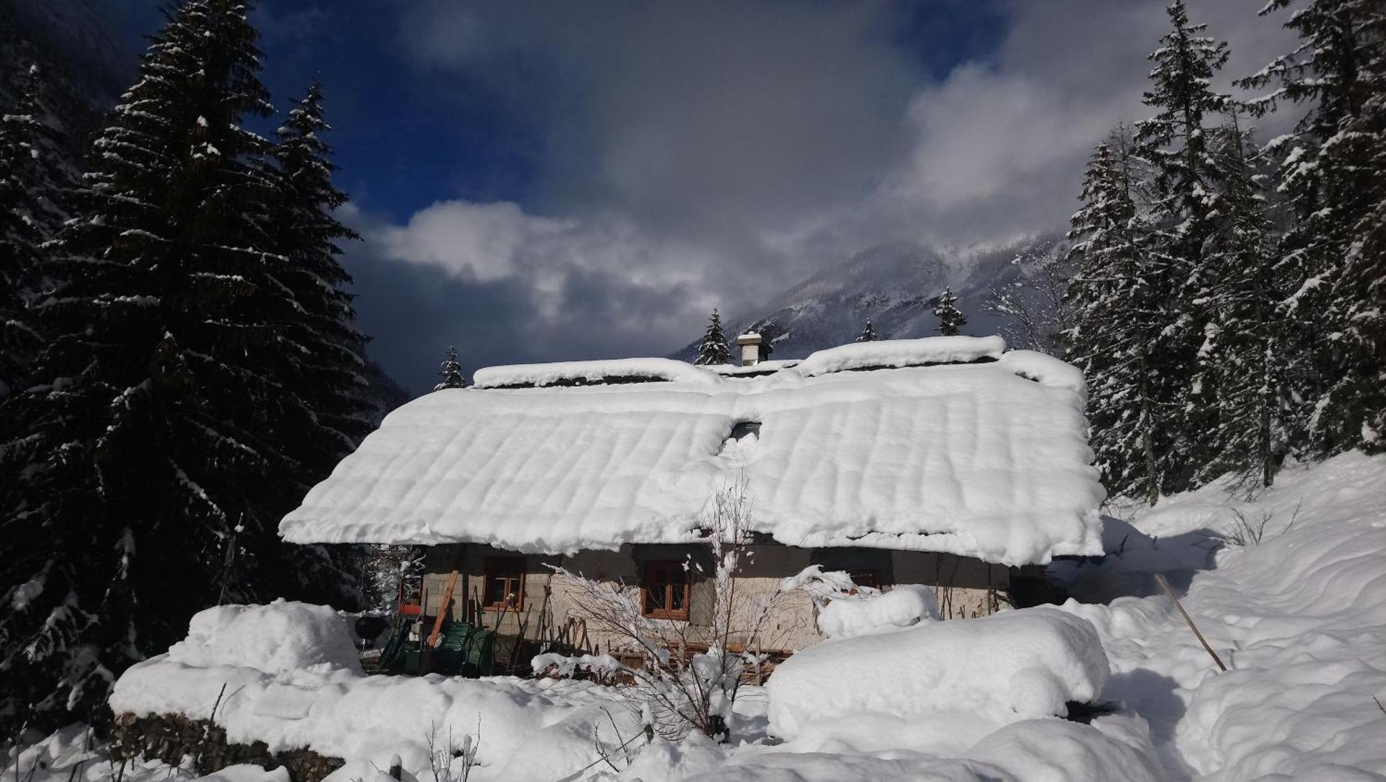 Wild Flower Cottage In Trenta Dış mekan fotoğraf